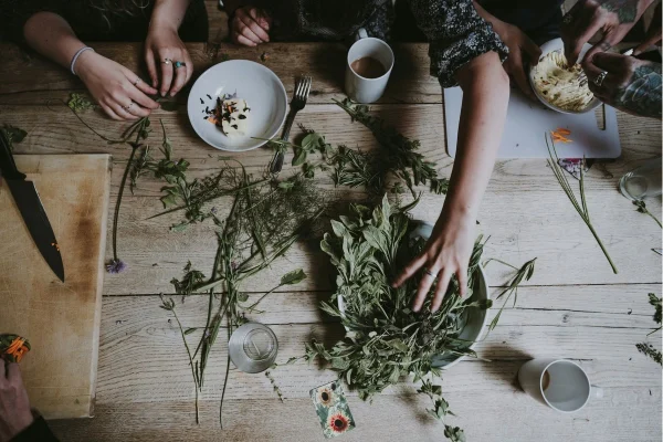 Herbciepscam: How to Spot and Avoid Online Herb Scams Herbciepscam: How to Spot and Avoid Online Herb Scams