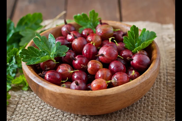 Žižole Fruit : A Powerful Superfruit for Health and Wellness